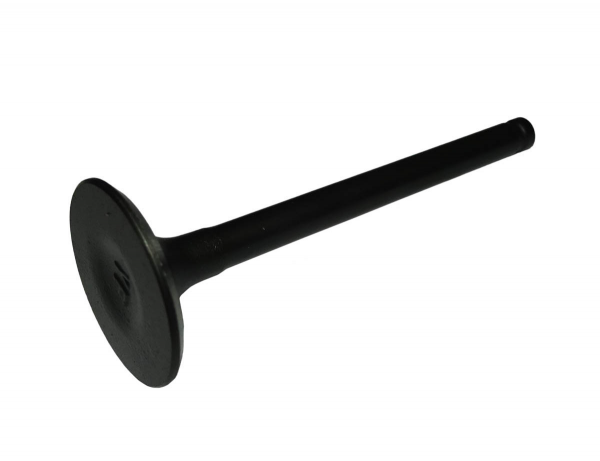 Клапан впускной 1Р54FMI 153FMI D00F045