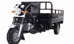 Трицикл грузовой Agiax 2 (Аякс) 250 куб.см, ВОДЯН.ОХЛ, кузов 2м.