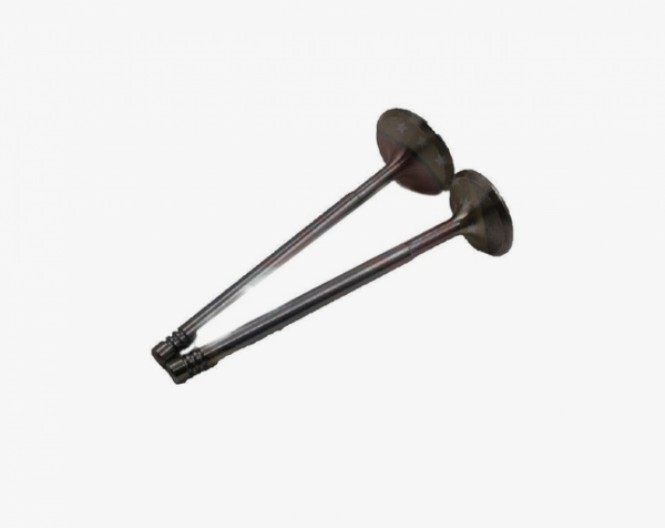 Клапаны CGB200