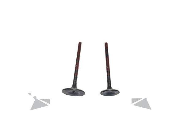 Клапаны СG200 163FML