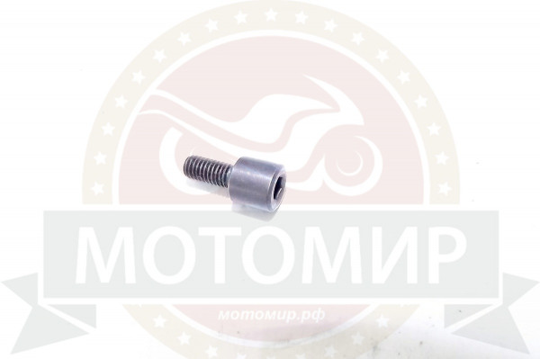 Болт М6х13.5мм ролика натяжителя цепи ГРМ №1 1Р54FMI Шторм