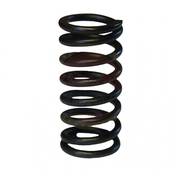 Пружина сцепления LF163 FML-2MP E06-13