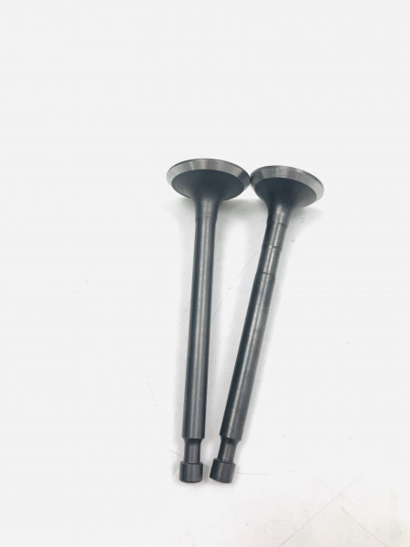 Клапаны G 200 YT-GP-001323