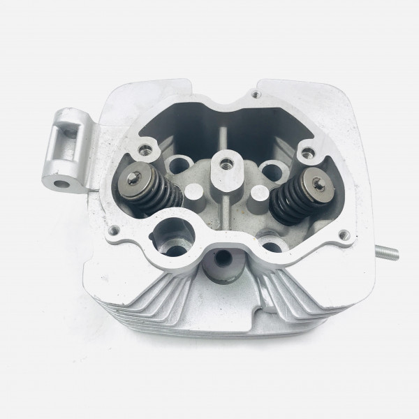 Головка CG250 с клапанами 167FMM