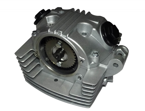 Головка цилиндра 166FMM в сборе