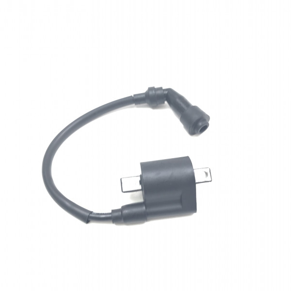 Катушка зажигания 172FMM с проводом