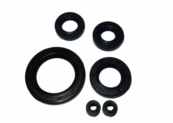 Набор сальников двигателя 167FMM