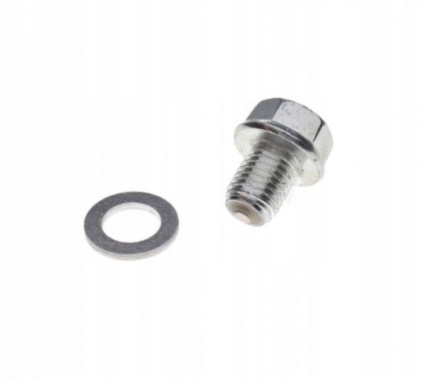 Болт сливной с шайбой 1P56 FMJ-2 Е4-13,15