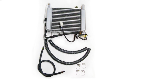 Радиатор охлаждения CB250 см3 Zongshen ZS 170MM-2 в сборе с ветилятором (100201576)